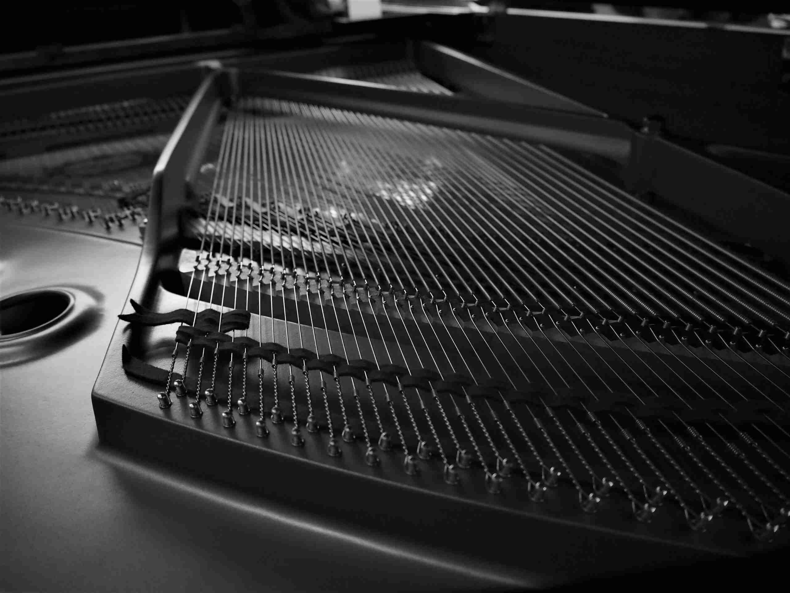 grand piano strings in black and white